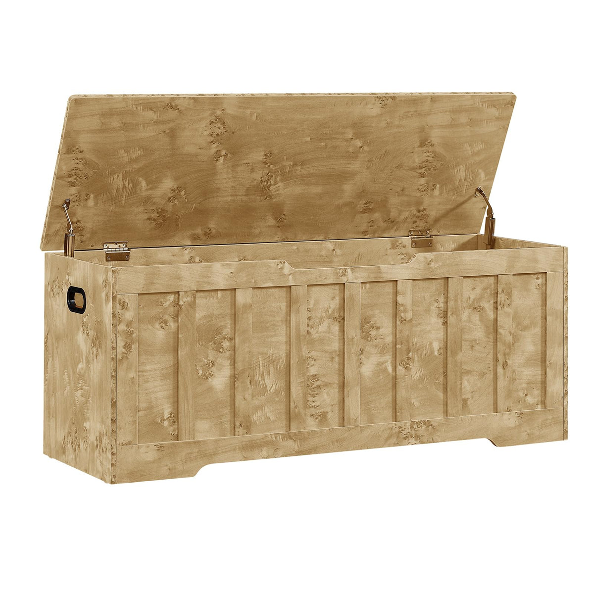 Modern Storage Chest with Spacious Hidden Storage Compartment