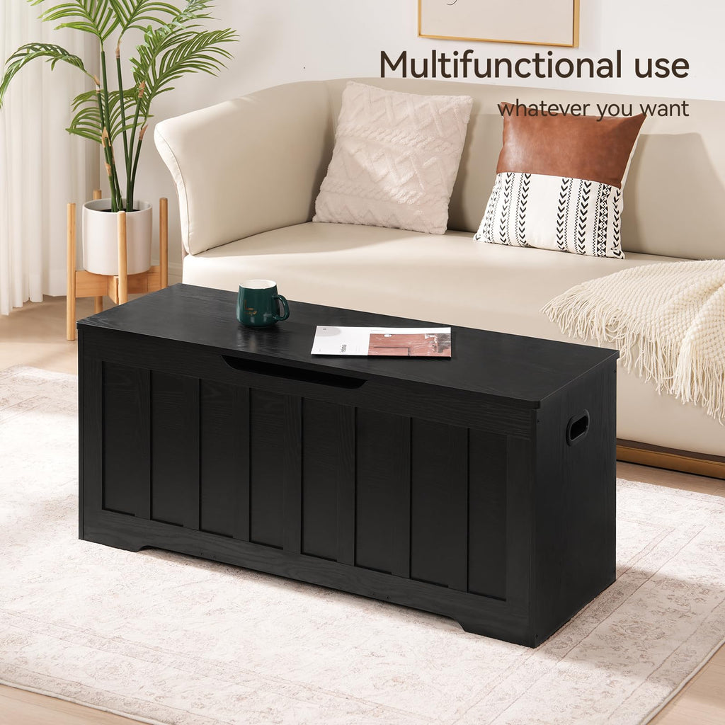 Modern Storage Chest with Spacious Hidden Storage Compartment