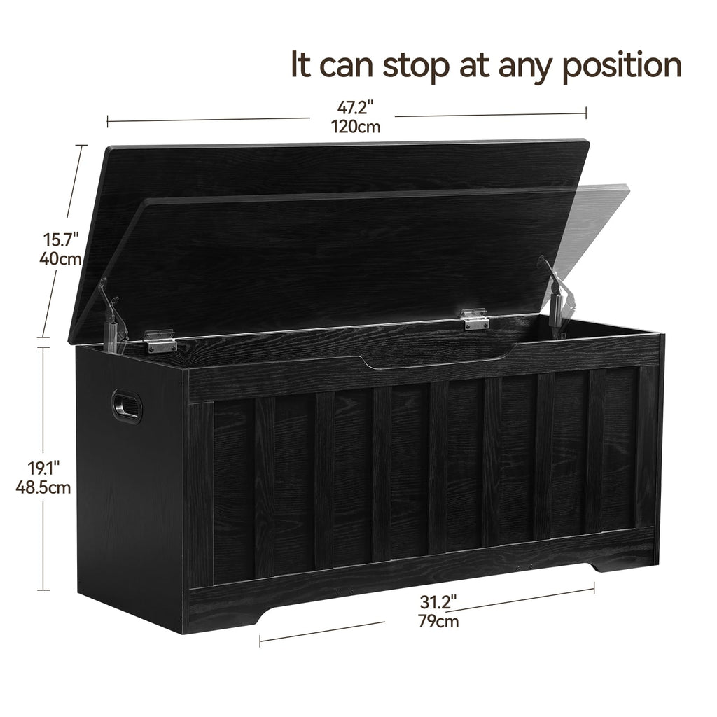 Modern Storage Chest with Spacious Hidden Storage Compartment