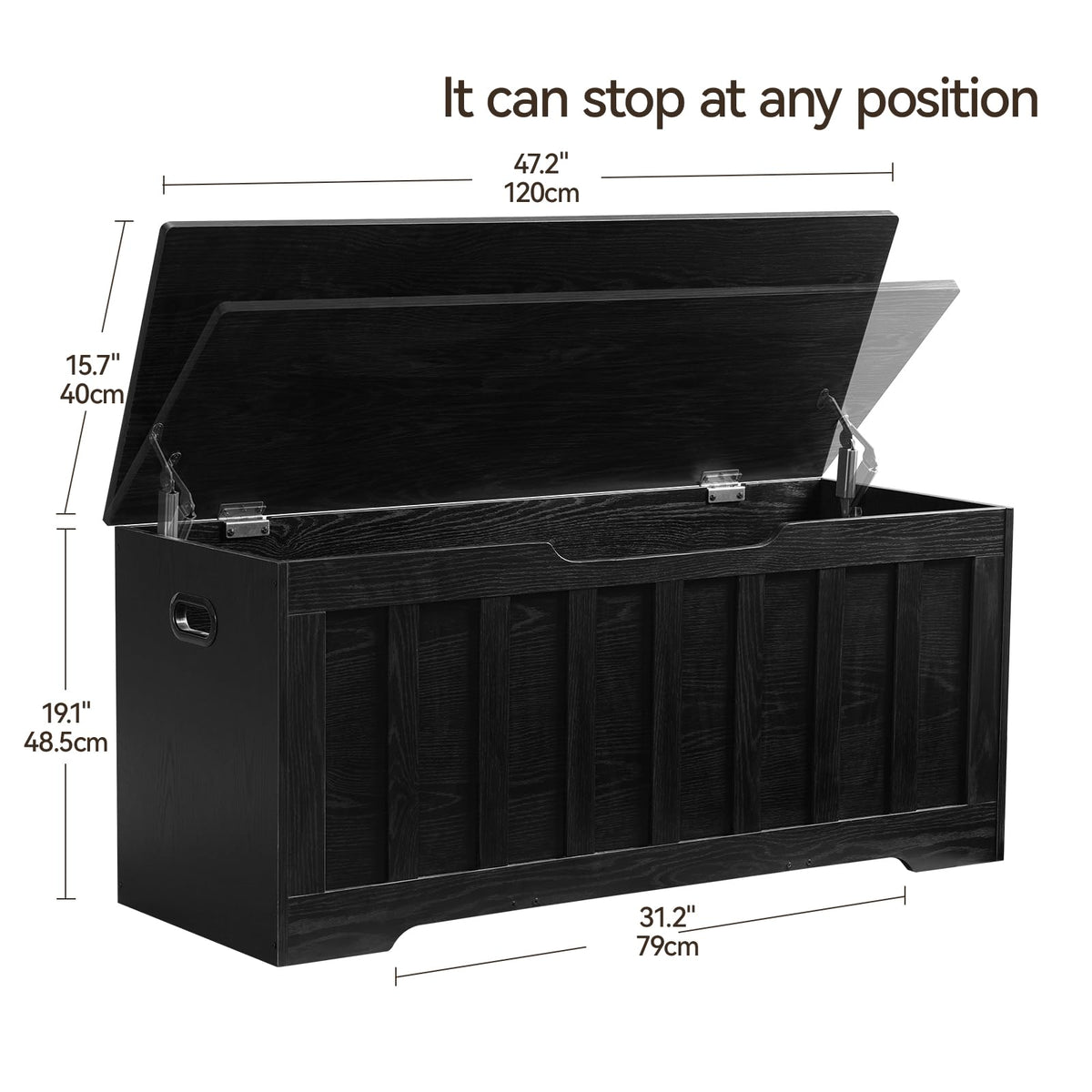 Modern Storage Chest with Spacious Hidden Storage Compartment